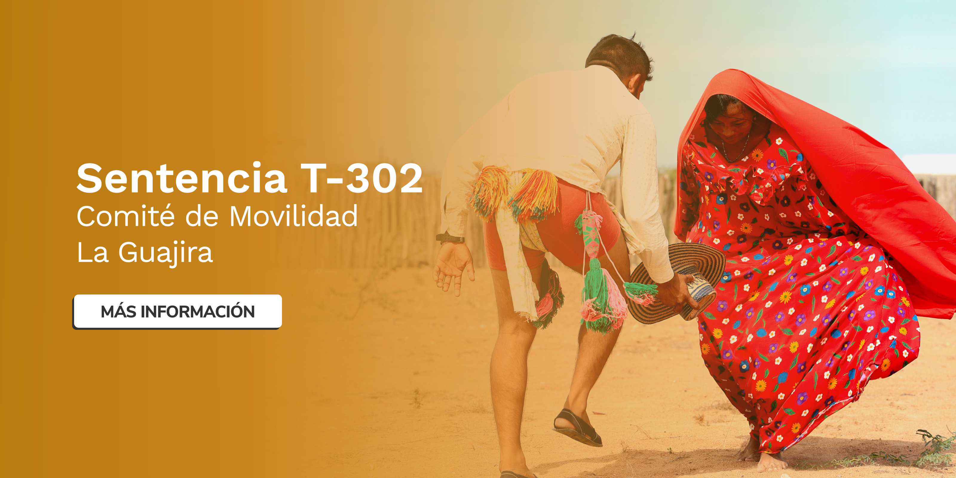 imagen: Sentencia T-302 Comité de Movilidad La Guajira